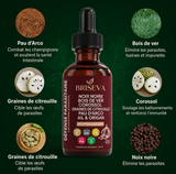 Briseva - Cure détoxifiante à l'absinthe pour éliminer les parasites