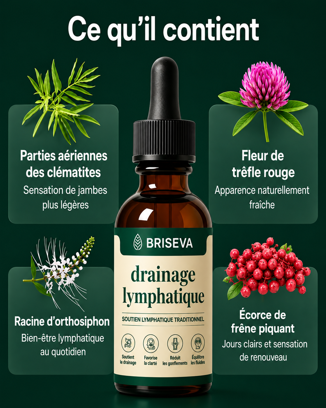Briseva - Gouttes de drainage lymphatique